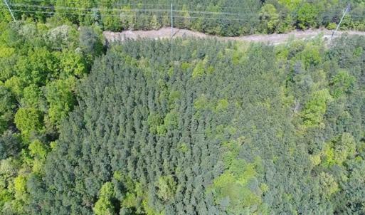 Photo of UNDER CONTRACT!!  17.95 Acres of Residential Land for Sale in Caroline Co VA