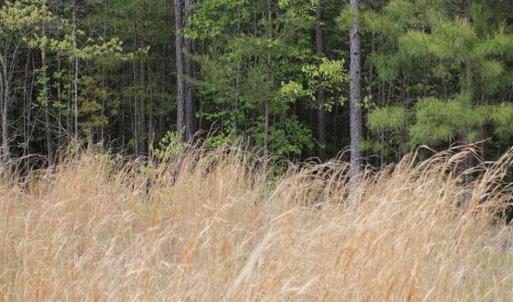 Photo of UNDER CONTRACT!!  17.95 Acres of Residential Land for Sale in Caroline Co VA