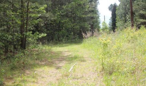 Photo of UNDER CONTRACT!!  17.95 Acres of Residential Land for Sale in Caroline Co VA
