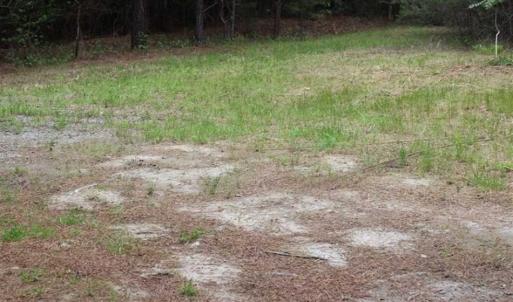 Photo of UNDER CONTRACT!!  17.95 Acres of Residential Land for Sale in Caroline Co VA