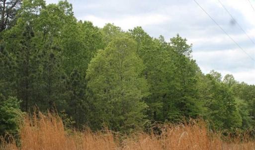Photo of UNDER CONTRACT!!  17.95 Acres of Residential Land for Sale in Caroline Co VA
