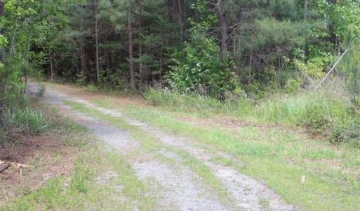 Photo of UNDER CONTRACT!!  17.95 Acres of Residential Land for Sale in Caroline Co VA