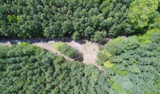 Photo of UNDER CONTRACT!!  17.95 Acres of Residential Land for Sale in Caroline Co VA
