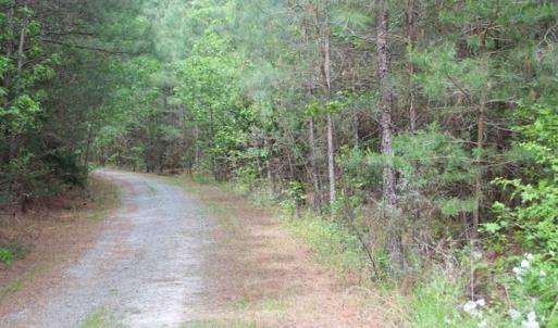 Photo of UNDER CONTRACT!!  17.95 Acres of Residential Land for Sale in Caroline Co VA