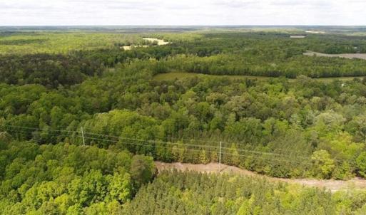 Photo of UNDER CONTRACT!!  17.95 Acres of Residential Land for Sale in Caroline Co VA
