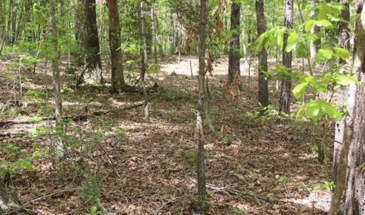 Photo of UNDER CONTRACT!!  17.95 Acres of Residential Land for Sale in Caroline Co VA