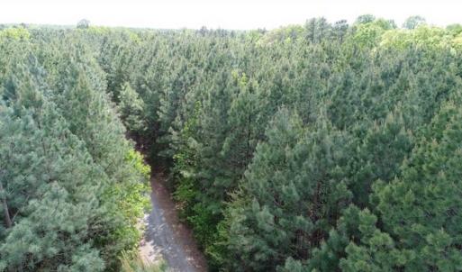 Photo of UNDER CONTRACT!!  17.95 Acres of Residential Land for Sale in Caroline Co VA