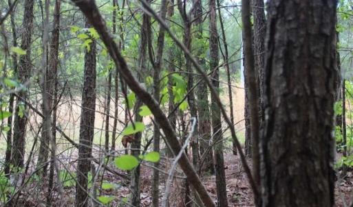 Photo of UNDER CONTRACT!!  17.95 Acres of Residential Land for Sale in Caroline Co VA