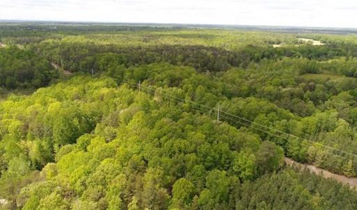 Photo of UNDER CONTRACT!!  17.95 Acres of Residential Land for Sale in Caroline Co VA