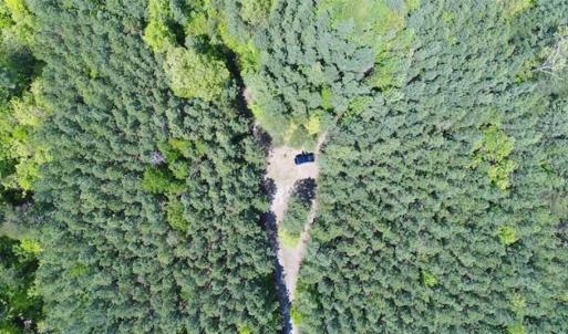 Photo of UNDER CONTRACT!!  17.95 Acres of Residential Land for Sale in Caroline Co VA