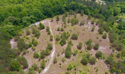 Photo of SOLD!!  16.9 Acres of Timber and Recreational Land For Sale in Sampson County NC!