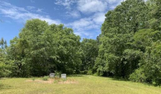 Photo of SOLD!!  16.9 Acres of Timber and Recreational Land For Sale in Sampson County NC!