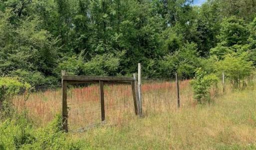 Photo of SOLD!!  16.9 Acres of Timber and Recreational Land For Sale in Sampson County NC!