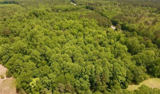 Photo of SOLD!!  16.9 Acres of Timber and Recreational Land For Sale in Sampson County NC!