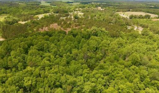 Photo of SOLD!!  16.9 Acres of Timber and Recreational Land For Sale in Sampson County NC!