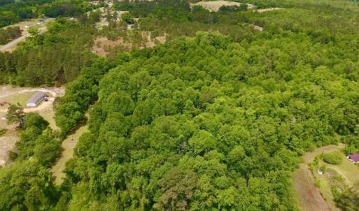Photo of SOLD!!  16.9 Acres of Timber and Recreational Land For Sale in Sampson County NC!