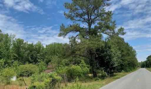 Photo of SOLD!!  16.9 Acres of Timber and Recreational Land For Sale in Sampson County NC!