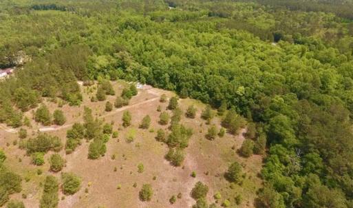 Photo of SOLD!!  16.9 Acres of Timber and Recreational Land For Sale in Sampson County NC!