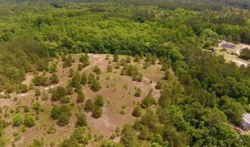 Photo of SOLD!!  16.9 Acres of Timber and Recreational Land For Sale in Sampson County NC!