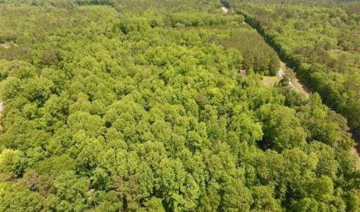 Photo of SOLD!!  16.9 Acres of Timber and Recreational Land For Sale in Sampson County NC!