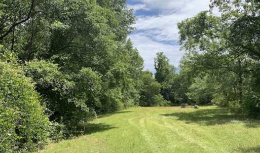 Photo of SOLD!!  16.9 Acres of Timber and Recreational Land For Sale in Sampson County NC!