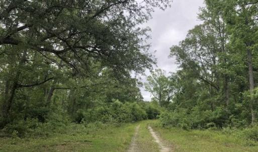 Photo of UNDER CONTRACT!!  67 Acres of Development Land For Sale in Brunswick County NC!