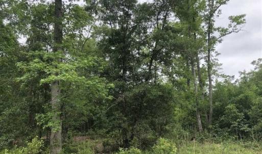 Photo of UNDER CONTRACT!!  67 Acres of Development Land For Sale in Brunswick County NC!