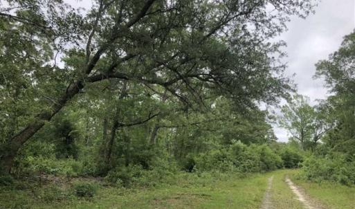 Photo of UNDER CONTRACT!!  67 Acres of Development Land For Sale in Brunswick County NC!