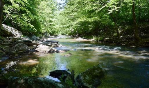Photo of SOLD!!  24 Acres of Hunting and Recreational Land For Sale in Bedford County VA!