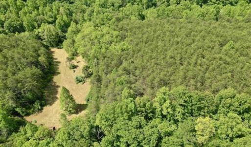 Photo of SOLD!!  24 Acres of Hunting and Recreational Land For Sale in Bedford County VA!