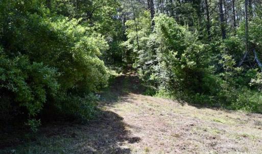 Photo of SOLD!!  24 Acres of Hunting and Recreational Land For Sale in Bedford County VA!