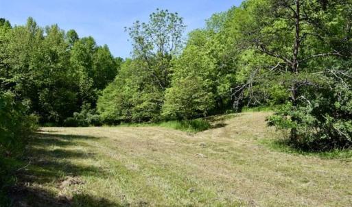 Photo of SOLD!!  24 Acres of Hunting and Recreational Land For Sale in Bedford County VA!