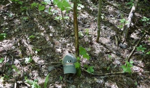Photo of SOLD!!  24 Acres of Hunting and Recreational Land For Sale in Bedford County VA!