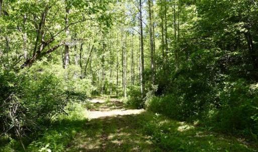 Photo of SOLD!!  24 Acres of Hunting and Recreational Land For Sale in Bedford County VA!