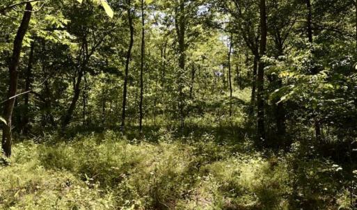 Photo of SOLD!!  24 Acres of Hunting and Recreational Land For Sale in Bedford County VA!