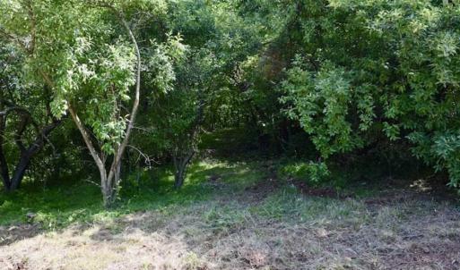 Photo of SOLD!!  24 Acres of Hunting and Recreational Land For Sale in Bedford County VA!