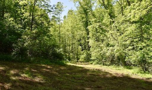 Photo of SOLD!!  24 Acres of Hunting and Recreational Land For Sale in Bedford County VA!