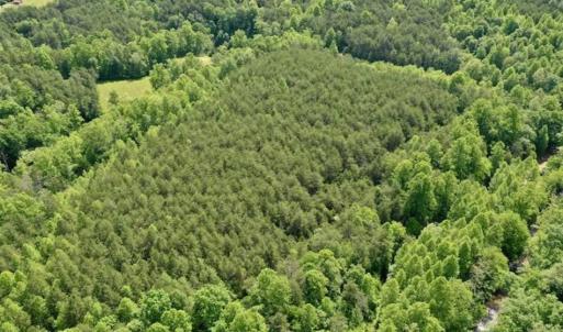 Photo of SOLD!!  24 Acres of Hunting and Recreational Land For Sale in Bedford County VA!