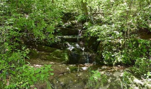 Photo of SOLD!!  24 Acres of Hunting and Recreational Land For Sale in Bedford County VA!