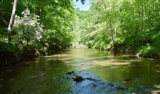 Photo of SOLD!!  24 Acres of Hunting and Recreational Land For Sale in Bedford County VA!