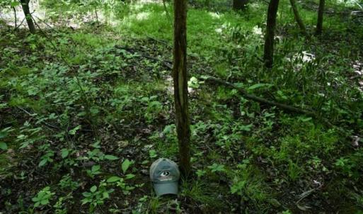 Photo of SOLD!!  24 Acres of Hunting and Recreational Land For Sale in Bedford County VA!