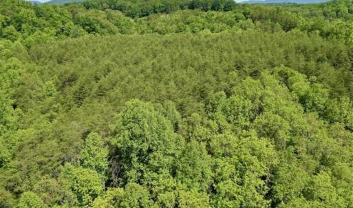 Photo of SOLD!!  24 Acres of Hunting and Recreational Land For Sale in Bedford County VA!