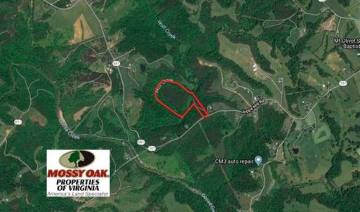 Photo of SOLD!!  24 Acres of Hunting and Recreational Land For Sale in Bedford County VA!
