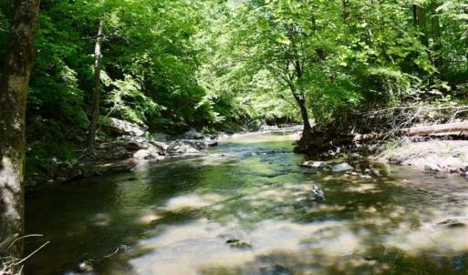 Photo of SOLD!!  24 Acres of Hunting and Recreational Land For Sale in Bedford County VA!