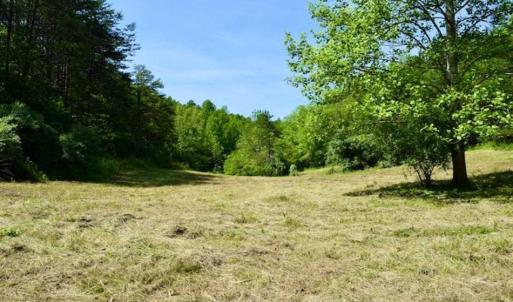 Photo of SOLD!!  24 Acres of Hunting and Recreational Land For Sale in Bedford County VA!