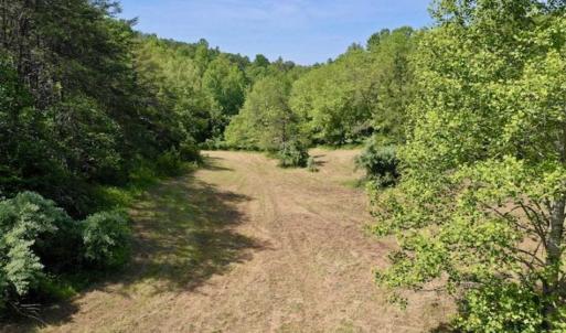 Photo of SOLD!!  24 Acres of Hunting and Recreational Land For Sale in Bedford County VA!