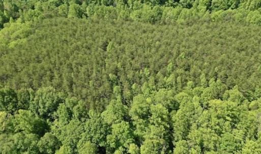 Photo of SOLD!!  24 Acres of Hunting and Recreational Land For Sale in Bedford County VA!