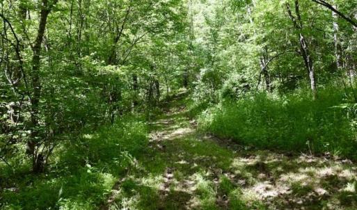 Photo of SOLD!!  24 Acres of Hunting and Recreational Land For Sale in Bedford County VA!
