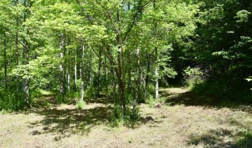 Photo of SOLD!!  24 Acres of Hunting and Recreational Land For Sale in Bedford County VA!
