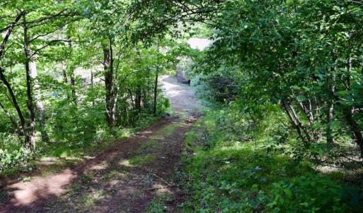 Photo of SOLD!!  24 Acres of Hunting and Recreational Land For Sale in Bedford County VA!